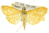  ( - 10ANIC-10926)  @14 [ ] CreativeCommons - Attribution (2010) CBG Photography Group Centre for Biodiversity Genomics