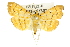 ( - 10ANIC-10928)  @12 [ ] CreativeCommons - Attribution (2010) CBG Photography Group Centre for Biodiversity Genomics