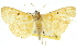  ( - 10ANIC-10931)  @14 [ ] CreativeCommons - Attribution (2010) CBG Photography Group Centre for Biodiversity Genomics