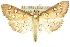  ( - 10ANIC-11073)  @11 [ ] CreativeCommons - Attribution (2010) CBG Photography Group Centre for Biodiversity Genomics