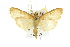  ( - 10ANIC-11079)  @14 [ ] CreativeCommons - Attribution (2010) CBG Photography Group Centre for Biodiversity Genomics