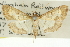  ( - 10ANIC-11111)  @11 [ ] CreativeCommons - Attribution (2010) CBG Photography Group Centre for Biodiversity Genomics