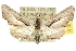  ( - 10ANIC-11368)  @15 [ ] CreativeCommons - Attribution (2010) CBG Photography Group Centre for Biodiversity Genomics
