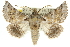  ( - 10ANIC-11406)  @15 [ ] CreativeCommons - Attribution (2010) CBG Photography Group Centre for Biodiversity Genomics