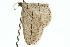  ( - 10ANIC-11586)  @12 [ ] CreativeCommons - Attribution (2010) CBG Photography Group Centre for Biodiversity Genomics