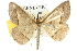  ( - 10ANIC-11621)  @14 [ ] CreativeCommons - Attribution (2010) CBG Photography Group Centre for Biodiversity Genomics