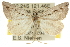  (Phrixocomes nexistriga - 10ANIC-11663)  @14 [ ] CreativeCommons - Attribution (2010) CBG Photography Group Centre for Biodiversity Genomics