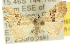  ( - 10ANIC-11676)  @13 [ ] CreativeCommons - Attribution (2010) CBG Photography Group Centre for Biodiversity Genomics