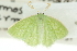  ( - 10ANIC-12153)  @14 [ ] CreativeCommons - Attribution (2010) CBG Photography Group Centre for Biodiversity Genomics