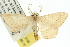  ( - 10ANIC-12156)  @14 [ ] CreativeCommons - Attribution (2010) CBG Photography Group Centre for Biodiversity Genomics
