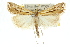  ( - 10ANIC-12183)  @15 [ ] CreativeCommons - Attribution (2010) CBG Photography Group Centre for Biodiversity Genomics