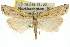  ( - 10ANIC-12191)  @15 [ ] CreativeCommons - Attribution (2010) CBG Photography Group Centre for Biodiversity Genomics