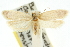  ( - 10ANIC-12328)  @11 [ ] CreativeCommons - Attribution (2010) CBG Photography Group Centre for Biodiversity Genomics