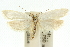 ( - 10ANIC-12333)  @12 [ ] CreativeCommons - Attribution (2010) CBG Photography Group Centre for Biodiversity Genomics