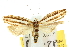  ( - 10ANIC-12345)  @12 [ ] CreativeCommons - Attribution (2010) CBG Photography Group Centre for Biodiversity Genomics