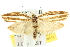  ( - 10ANIC-12346)  @13 [ ] CreativeCommons - Attribution (2010) CBG Photography Group Centre for Biodiversity Genomics