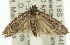  ( - 11ANIC-00320)  @13 [ ] CreativeCommons - Attribution (2011) ANIC/CBG Photography Group Centre for Biodiversity Genomics