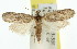  ( - 11ANIC-00324)  @12 [ ] CreativeCommons - Attribution (2011) ANIC/CBG Photography Group Centre for Biodiversity Genomics