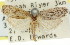  ( - 11ANIC-00327)  @14 [ ] CreativeCommons - Attribution (2011) ANIC/CBG Photography Group Centre for Biodiversity Genomics