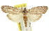  ( - 11ANIC-00354)  @11 [ ] CreativeCommons - Attribution (2011) ANIC/CBG Photography Group Centre for Biodiversity Genomics