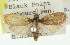  ( - 11ANIC-00368)  @13 [ ] CreativeCommons - Attribution (2011) ANIC/CBG Photography Group Centre for Biodiversity Genomics