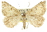  ( - 11ANIC-00065)  @11 [ ] CreativeCommons - Attribution (2011) ANIC/CBG Photography Group Centre for Biodiversity Genomics