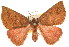  ( - 11ANIC-00085)  @11 [ ] CreativeCommons - Attribution (2011) ANIC/CBG Photography Group Centre for Biodiversity Genomics