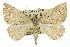  ( - 11ANIC-00095)  @11 [ ] CreativeCommons - Attribution (2011) ANIC/CBG Photography Group Centre for Biodiversity Genomics