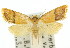  ( - 11ANIC-00125)  @11 [ ] CreativeCommons - Attribution (2011) ANIC/CBG Photography Group Centre for Biodiversity Genomics