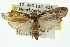  ( - 11ANIC-00148)  @11 [ ] CreativeCommons - Attribution (2011) ANIC/CBG Photography Group Centre for Biodiversity Genomics