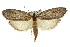 ( - 11ANIC-00174)  @13 [ ] CreativeCommons - Attribution (2011) ANIC/CBG Photography Group Centre for Biodiversity Genomics