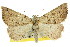  ( - 11ANIC-00200)  @11 [ ] CreativeCommons - Attribution (2011) ANIC/CBG Photography Group Centre for Biodiversity Genomics