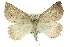  ( - 11ANIC-00207)  @14 [ ] CreativeCommons - Attribution (2011) ANIC/CBG Photography Group Centre for Biodiversity Genomics