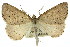  ( - 11ANIC-00210)  @11 [ ] CreativeCommons - Attribution (2011) ANIC/CBG Photography Group Centre for Biodiversity Genomics