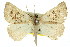  ( - 11ANIC-00211)  @11 [ ] CreativeCommons - Attribution (2011) ANIC/CBG Photography Group Centre for Biodiversity Genomics