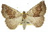  ( - 11ANIC-00220)  @11 [ ] CreativeCommons - Attribution (2011) ANIC/CBG Photography Group Centre for Biodiversity Genomics