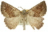  ( - 11ANIC-00222)  @11 [ ] CreativeCommons - Attribution (2011) ANIC/CBG Photography Group Centre for Biodiversity Genomics