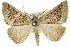  ( - 11ANIC-00224)  @11 [ ] CreativeCommons - Attribution (2011) ANIC/CBG Photography Group Centre for Biodiversity Genomics