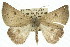  ( - 11ANIC-00237)  @11 [ ] CreativeCommons - Attribution (2011) ANIC/CBG Photography Group Centre for Biodiversity Genomics