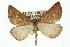  ( - 11ANIC-00243)  @14 [ ] CreativeCommons - Attribution (2011) ANIC/CBG Photography Group Centre for Biodiversity Genomics