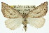  ( - 11ANIC-00258)  @11 [ ] CreativeCommons - Attribution (2011) ANIC/CBG Photography Group Centre for Biodiversity Genomics