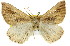  ( - 11ANIC-00264)  @11 [ ] CreativeCommons - Attribution (2011) ANIC/CBG Photography Group Centre for Biodiversity Genomics