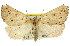  ( - 11ANIC-00268)  @11 [ ] CreativeCommons - Attribution (2011) ANIC/CBG Photography Group Centre for Biodiversity Genomics