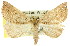  ( - 11ANIC-00275)  @11 [ ] CreativeCommons - Attribution (2011) ANIC/CBG Photography Group Centre for Biodiversity Genomics