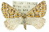  ( - 11ANIC-00394)  @14 [ ] CreativeCommons - Attribution (2011) ANIC/CBG Photography Group Centre for Biodiversity Genomics
