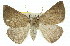  ( - 11ANIC-00434)  @11 [ ] CreativeCommons - Attribution (2011) ANIC/CBG Photography Group Centre for Biodiversity Genomics