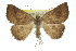  ( - 11ANIC-00445)  @11 [ ] CreativeCommons - Attribution (2011) ANIC/CBG Photography Group Centre for Biodiversity Genomics
