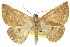  ( - 11ANIC-00469)  @11 [ ] CreativeCommons - Attribution (2011) ANIC/CBG Photography Group Centre for Biodiversity Genomics