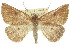 ( - 11ANIC-00471)  @14 [ ] CreativeCommons - Attribution (2011) ANIC/CBG Photography Group Centre for Biodiversity Genomics
