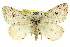  ( - 11ANIC-00521)  @13 [ ] CreativeCommons - Attribution (2011) ANIC/CBG Photography Group Centre for Biodiversity Genomics